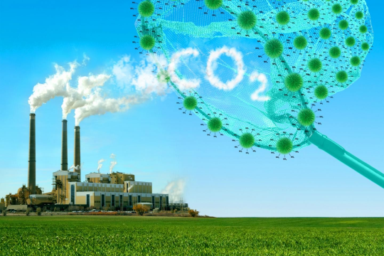 CO2 là gì và có những ứng dụng thực tiễn như thế nào?