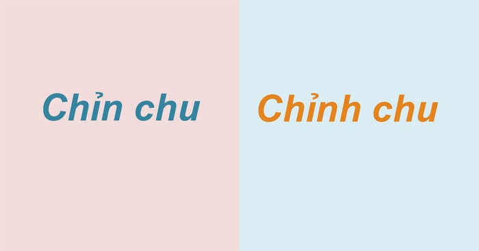 chin-chu-hay-chinh-chu-moi-dung-ngu-phap