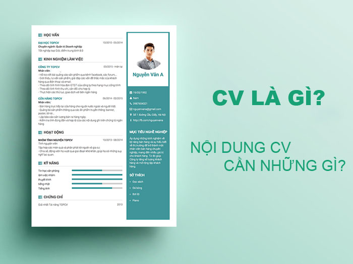 CV-can-nhung-noi-dung-gi