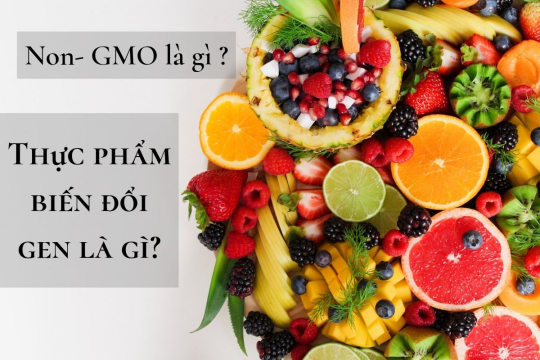 GM food là gì? Có nên sử dụng GM food trong bữa cơm hằng ngày không?