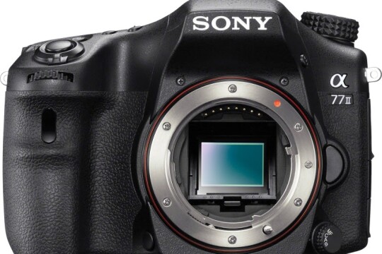Review Top 5 sản phẩm máy ảnh DSLR độ phân giải tốt nhất hiện nay