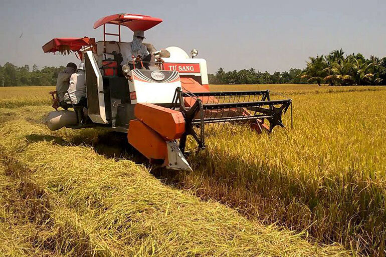 Review top 5 máy cắt lúa không thể thiếu cho nhà nông