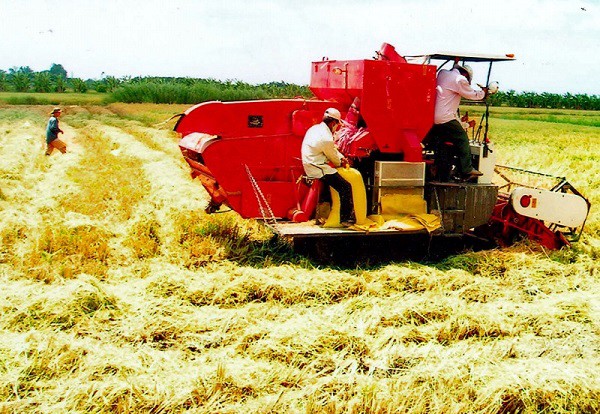 Review Top 5 máy cắt lúa không thể thiếu cho nhà nông