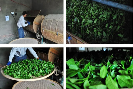 Danh Trà - Thương hiệu sản xuất trà Thái Nguyên đặc sản chất lượng