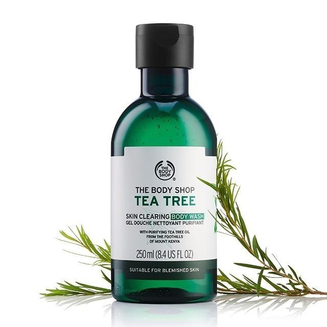 sua - tam - tri - mun - lung - The Body Shop Tea Tree Body Wash