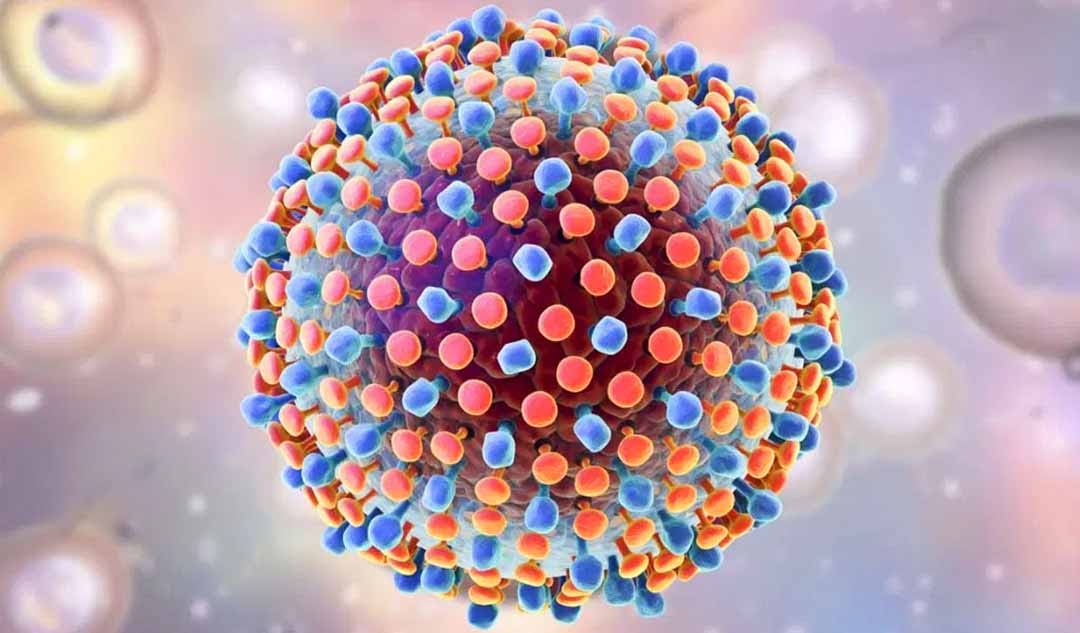 Vi-rut-hepacivirus-c